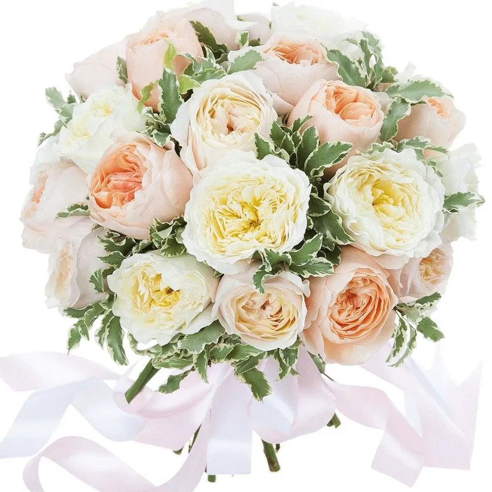 Розы  Пионовидные микс №1