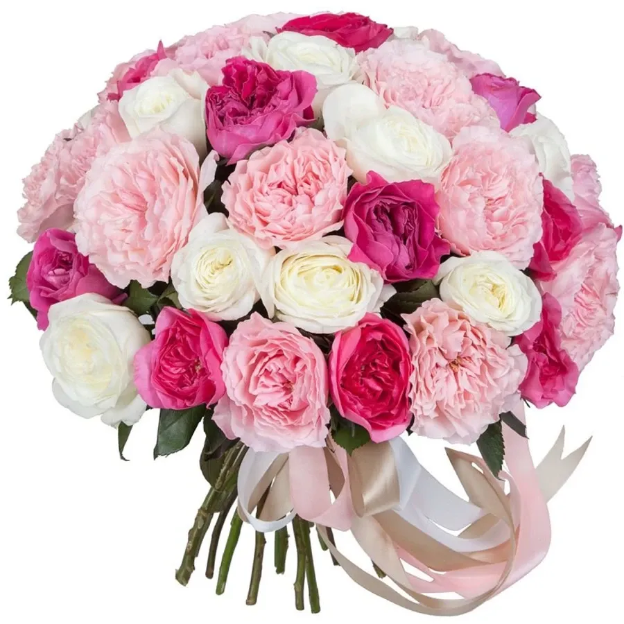 Розы пионовидные микс